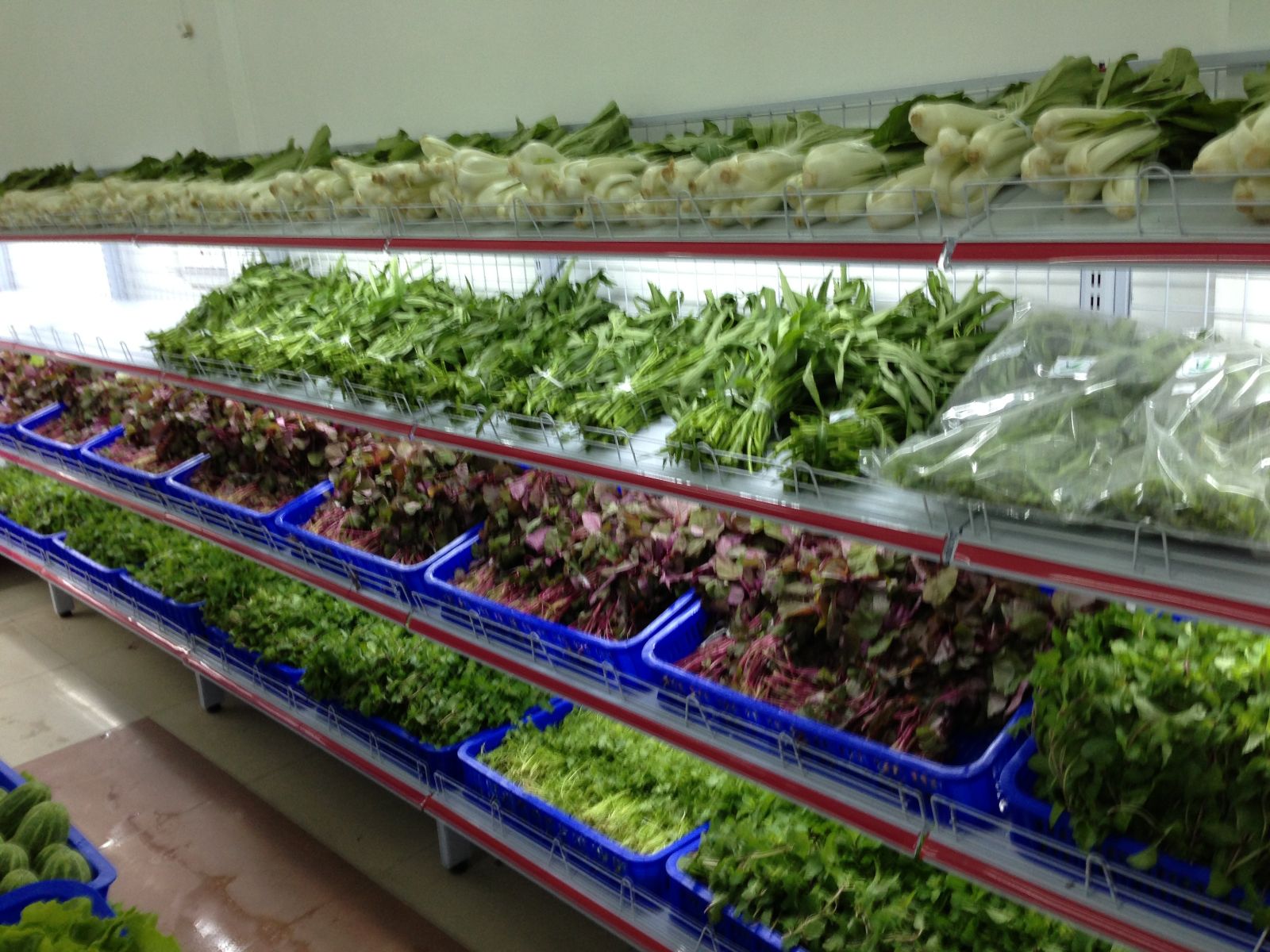 Tin Tức - Hà Nội: Hàng loạt siêu thị “bị lừa” bán rau không rõ nguồn gốc
